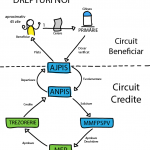 icc-flow-drepturi-noi1