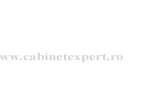 logocontabil